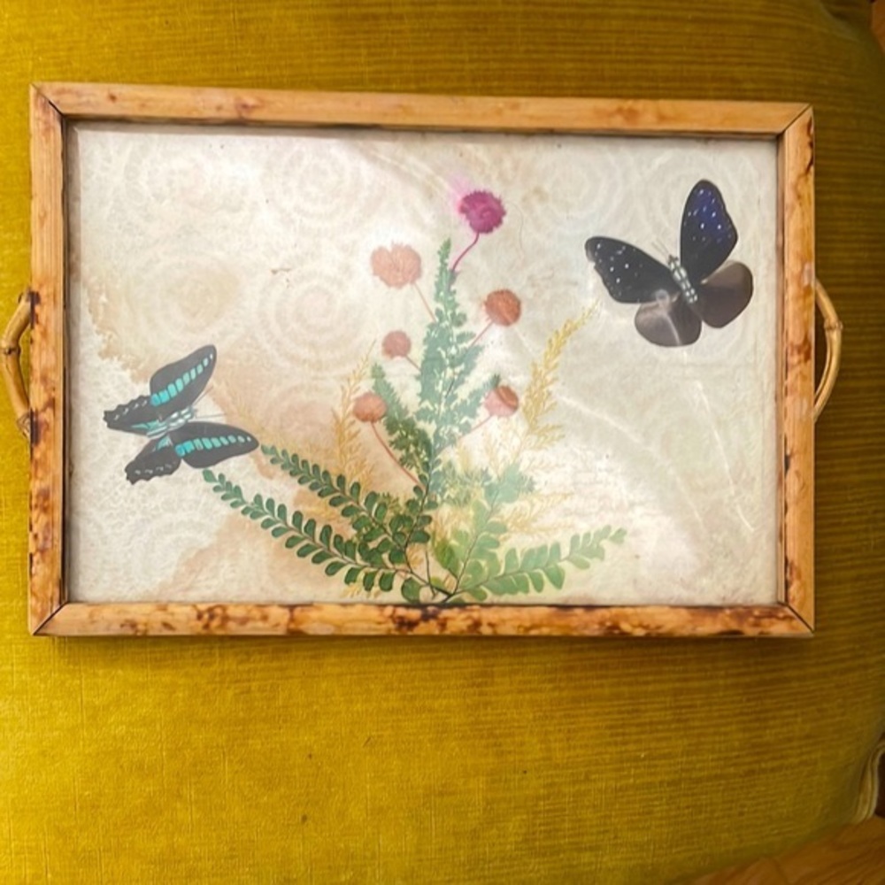 Vintage Butterfly & Flower Taxidermy Bamboo Tray w Handles